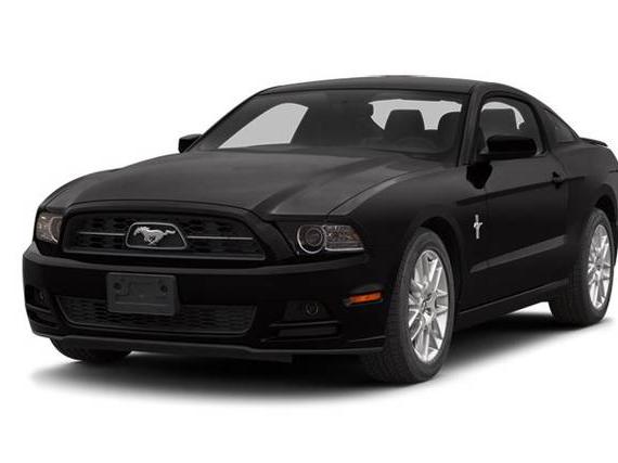 FORD MUSTANG 2014 1ZVBP8AM4E5328971 image
