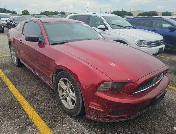FORD MUSTANG 2014 1ZVBP8AM4E5245282 image