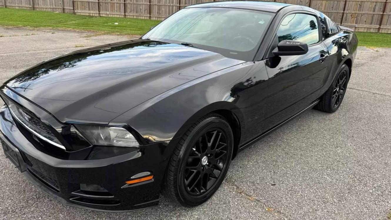 FORD MUSTANG 2014 1ZVBP8AM2E5304040 image