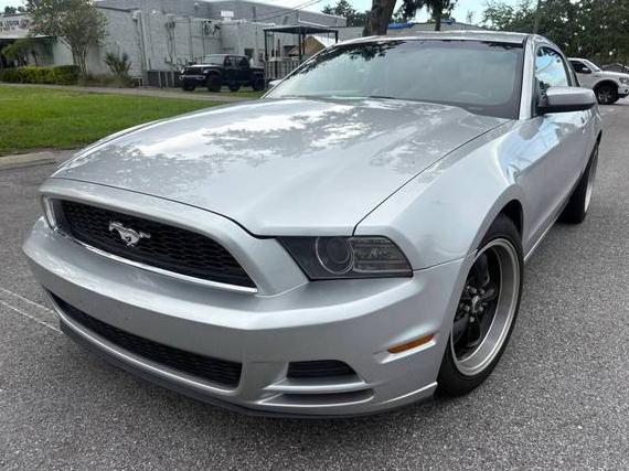 FORD MUSTANG 2014 1ZVBP8AM4E5293851 image