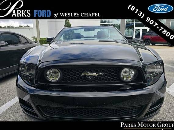 FORD MUSTANG 2014 1ZVBP8FF8E5331138 image