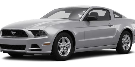 FORD MUSTANG 2014 1ZVBP8AM6E5259054 image