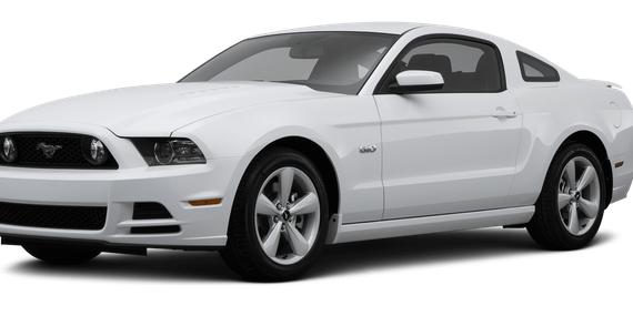 FORD MUSTANG 2014 1ZVBP8CF1E5202436 image