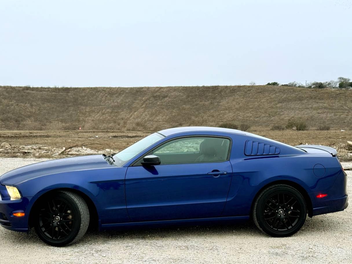 FORD MUSTANG 2014 1ZVBP8AM2E5254384 image