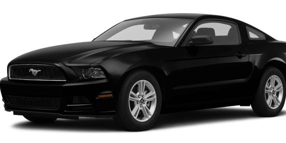 FORD MUSTANG 2014 1ZVBP8AM0E5295967 image