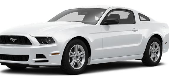 FORD MUSTANG 2014 1ZVBP8AM8E5240389 image