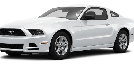 FORD MUSTANG 2014 1ZVBP8AM7E5303577 image