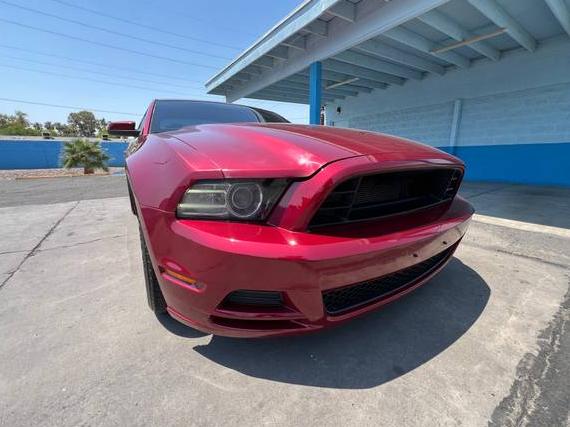 FORD MUSTANG 2014 1ZVBP8CF0E5291710 image