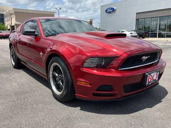 FORD MUSTANG 2014 1ZVBP8AM5E5226580 image