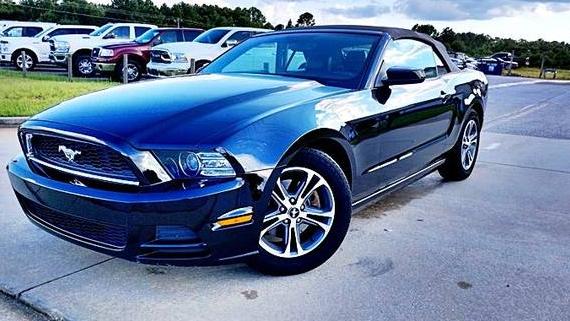 FORD MUSTANG 2014 1ZVBP8EM1E5243953 image