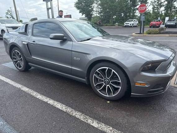 FORD MUSTANG 2014 1ZVBP8CF9E5219193 image