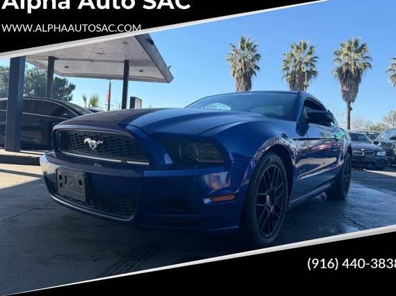 FORD MUSTANG 2014 1ZVBP8AM8E5210003 image FORD MUSTANG 2014 1ZVBP8AM8E5210003 image