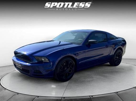 FORD MUSTANG 2014 1ZVBP8AM9E5330649 image