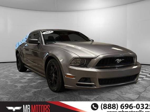 FORD MUSTANG 2014 1ZVBP8AM5E5322144 image