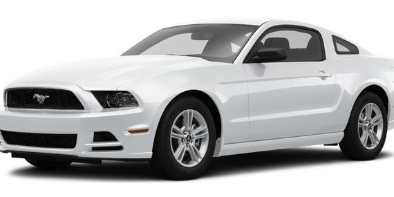 FORD MUSTANG 2014 1ZVBP8AM6E5269566 image