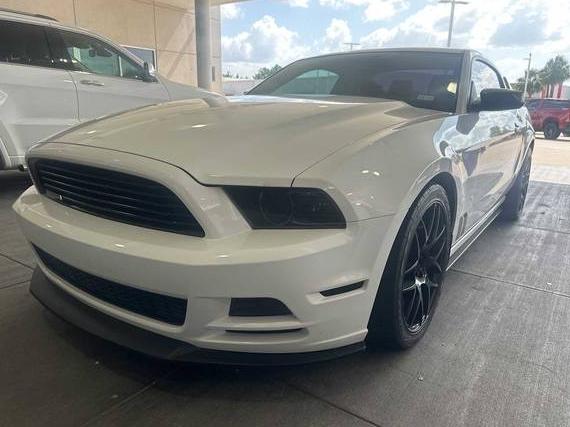 FORD MUSTANG 2014 1ZVBP8AM7E5265168 image
