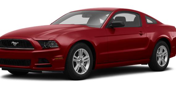 FORD MUSTANG 2014 1ZVBP8AM2E5249301 image