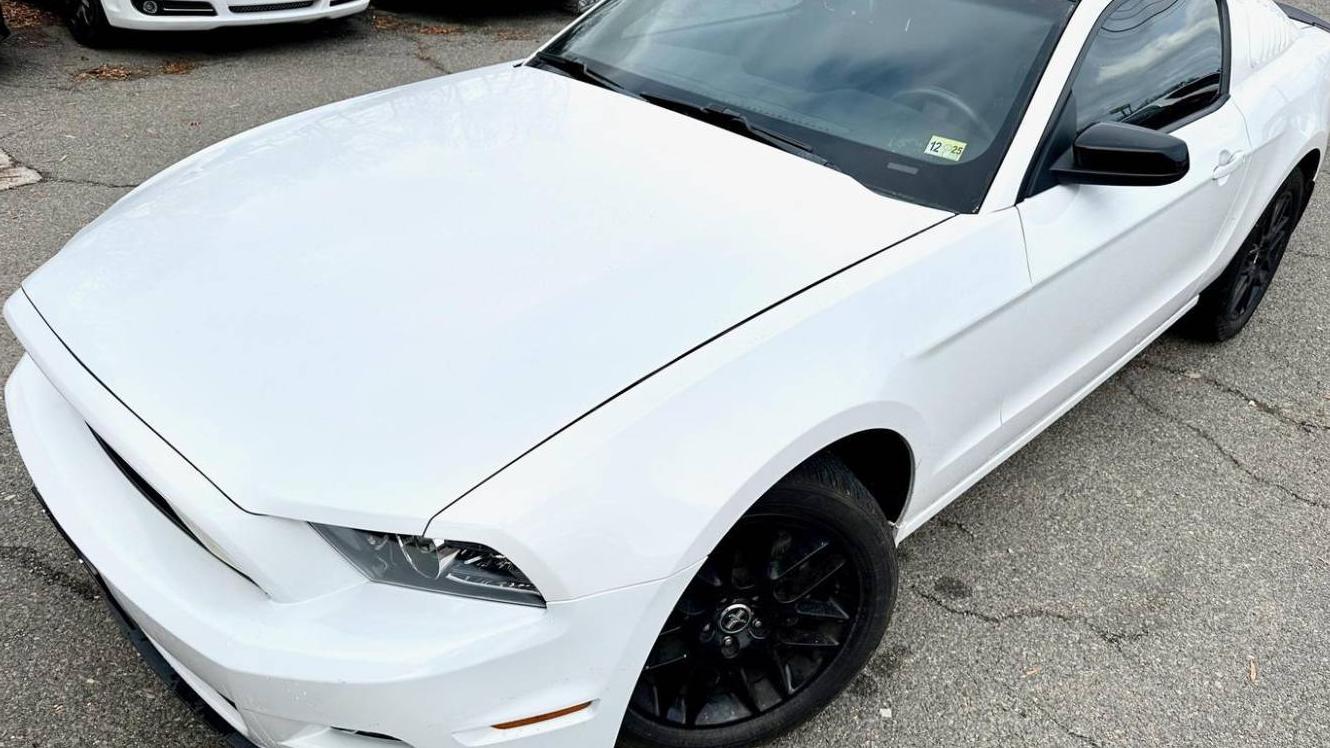 FORD MUSTANG 2014 1ZVBP8AM3E5237786 image