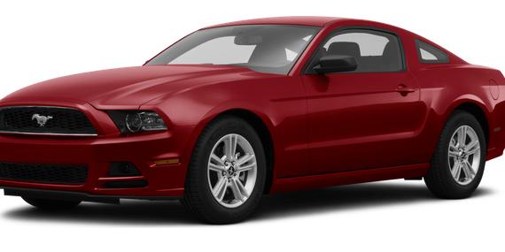 FORD MUSTANG 2014 1ZVBP8AM3E5265992 image