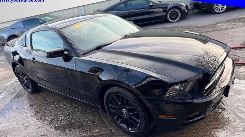 FORD MUSTANG 2014 1ZVBP8AM7E5203785 image