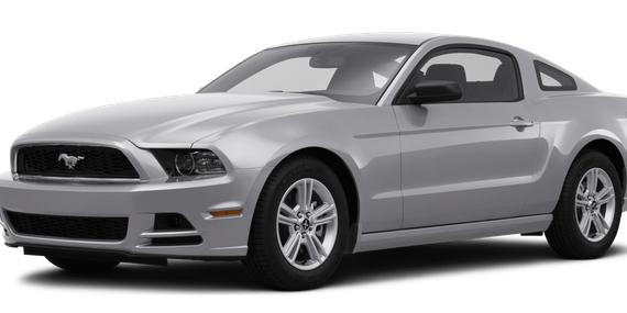 FORD MUSTANG 2014 1ZVBP8AM4E5216669 image