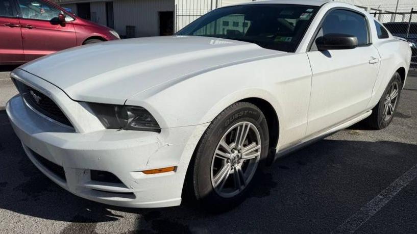 FORD MUSTANG 2014 1ZVBP8AM8E5298731 image