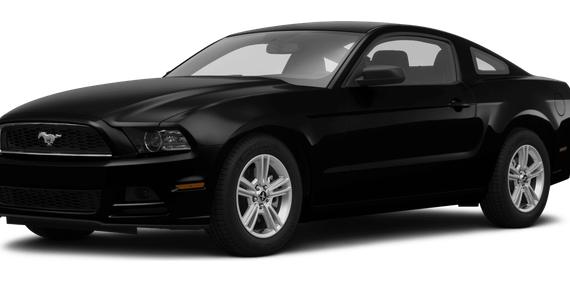 FORD MUSTANG 2014 1ZVBP8AMXE5288881 image