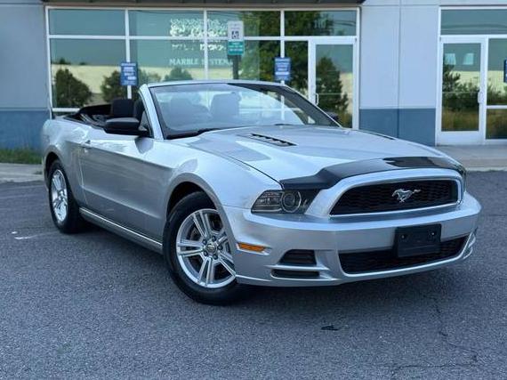 FORD MUSTANG 2014 1ZVBP8EM0E5300207 image