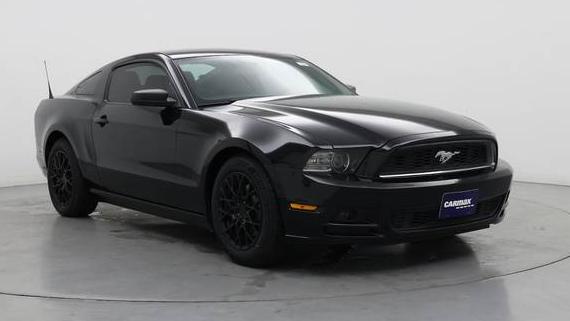 FORD MUSTANG 2014 1ZVBP8AM8E5254759 image