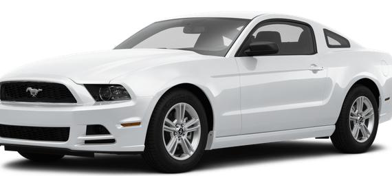 FORD MUSTANG 2014 1ZVBP8AM0E5215261 image