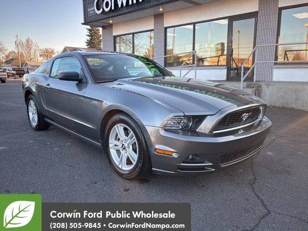 FORD MUSTANG 2014 1ZVBP8AM0E5324237 image