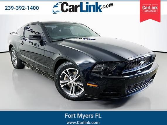 FORD MUSTANG 2014 1ZVBP8AMXE5334046 image
