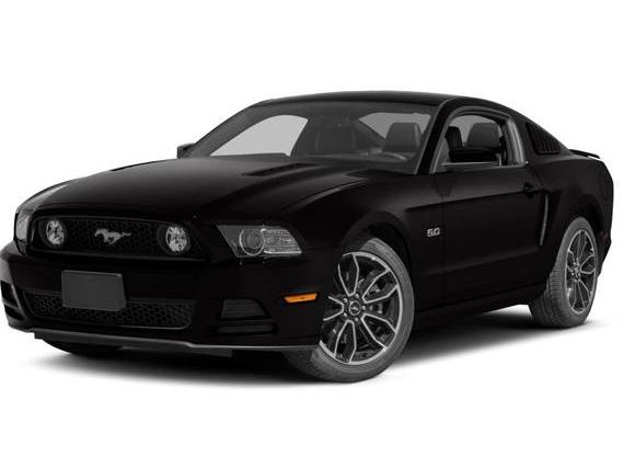 FORD MUSTANG 2014 1ZVBP8CF8E5313310 image