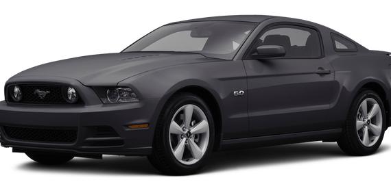 FORD MUSTANG 2014 1ZVBP8CF4E5300991 image