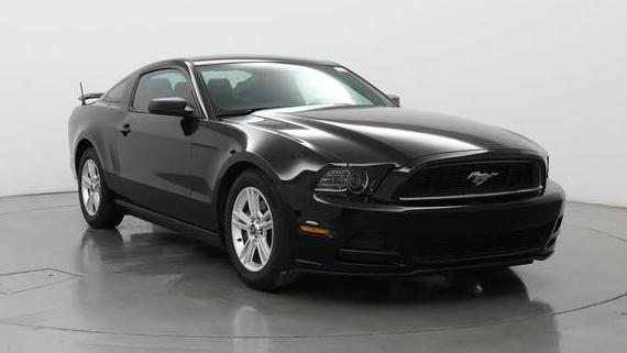 FORD MUSTANG 2014 1ZVBP8AM1E5315241 image