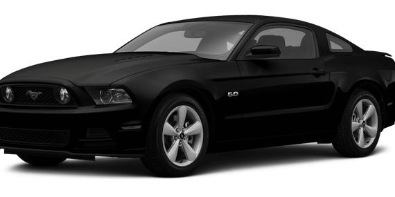 FORD MUSTANG 2014 1ZVBP8CF1E5203070 image