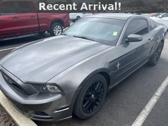 FORD MUSTANG 2014 1ZVBP8AM4E5253477 image