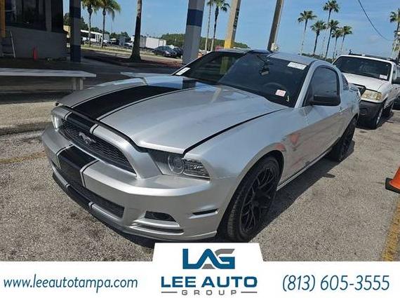 FORD MUSTANG 2014 1ZVBP8AM9E5305721 image