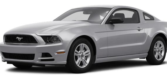 FORD MUSTANG 2014 1ZVBP8AM3E5308517 image