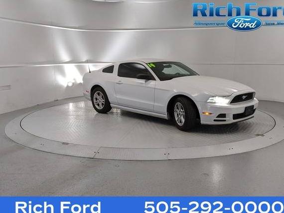 FORD MUSTANG 2014 1ZVBP8AM3E5321302 image