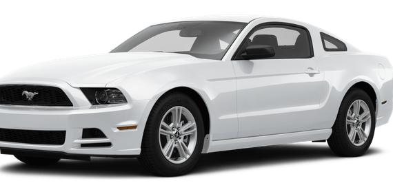 FORD MUSTANG 2014 1ZVBP8AMXE5284782 image