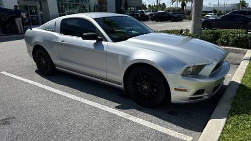 FORD MUSTANG 2014 1ZVBP8AM5E5251169 image