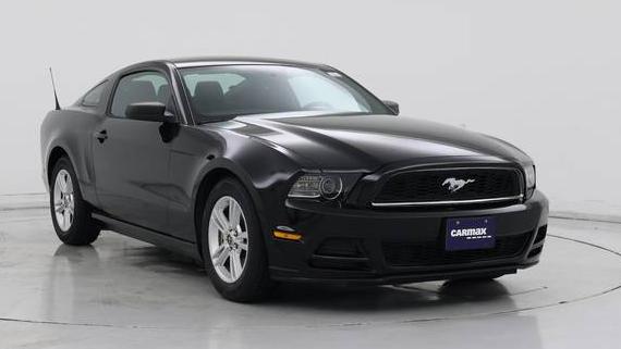FORD MUSTANG 2014 1ZVBP8AM4E5256377 image