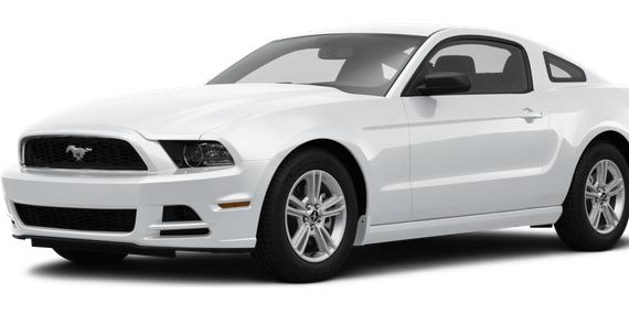 FORD MUSTANG 2014 1ZVBP8AM5E5326260 image