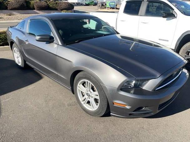 FORD MUSTANG 2014 1ZVBP8AM9E5250266 image