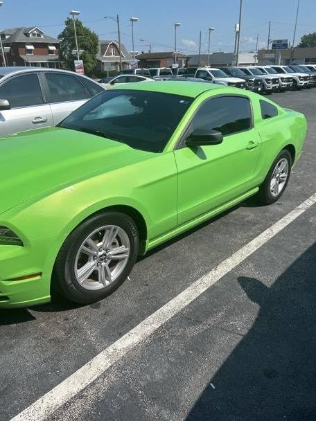 FORD MUSTANG 2014 1ZVBP8AM6E5299294 image