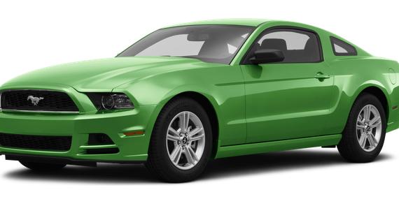 FORD MUSTANG 2014 1ZVBP8AMXE5305341 image
