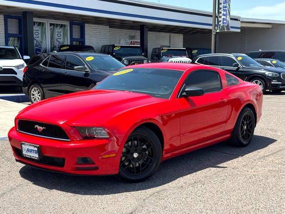 FORD MUSTANG 2014 1ZVBP8AM4E5309997 image