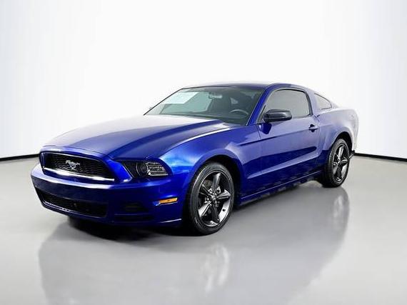 FORD MUSTANG 2014 1ZVBP8AM1E5310198 image
