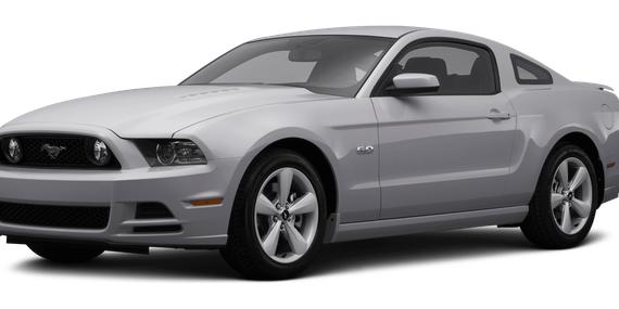 FORD MUSTANG 2014 1ZVBP8CF5E5247301 image
